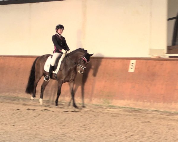 Jugend-Challenge Verden 2016