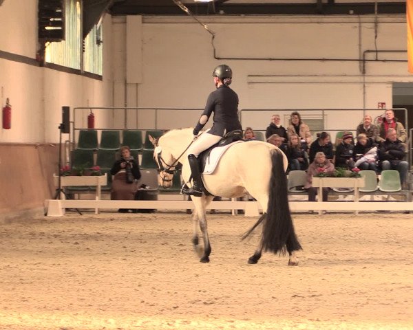 Jugend-Challenge Verden 2016