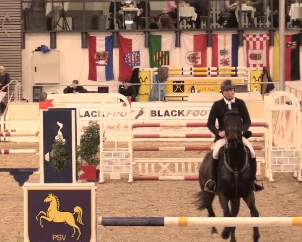 Jugend-Challenge Verden 2016