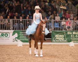 dressage horse Polly 459 (German Riding Pony, 2008, from Pernod)