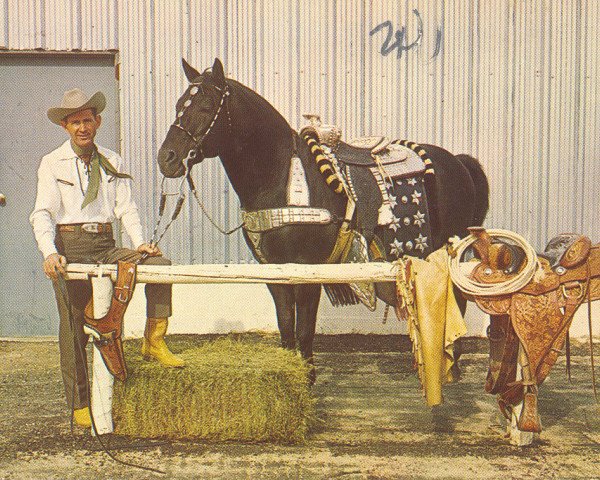 Deckhengst Poco Mike (Quarter Horse, 1951, von Poco Bueno)