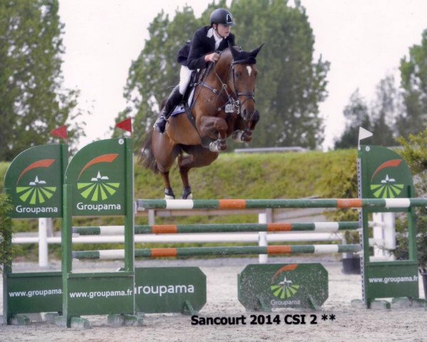 jumper Correze van de Moskifarm (Belgium Sporthorse, 2008, from Doree van de Moskifarm)