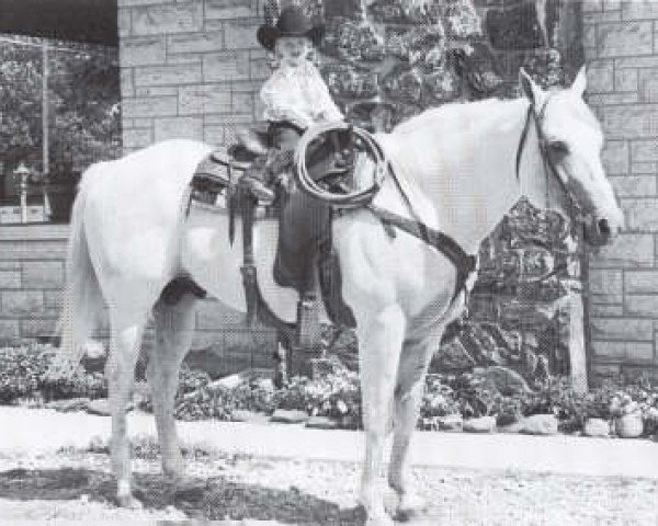 stallion Jackie Bee (Quarter Horse, 1962, from Jimmy Mac Bee)