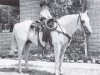 stallion Jackie Bee (Quarter Horse, 1962, from Jimmy Mac Bee)