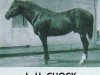 stallion L H Chock (Quarter Horse, 1944, from King)