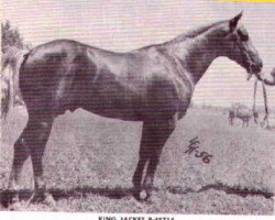 Deckhengst King Jacket (Quarter Horse, 1952, von L H Chock)