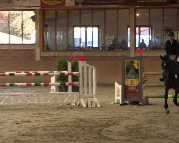 Late-Entry Havixbeck-Hohenholte 2016