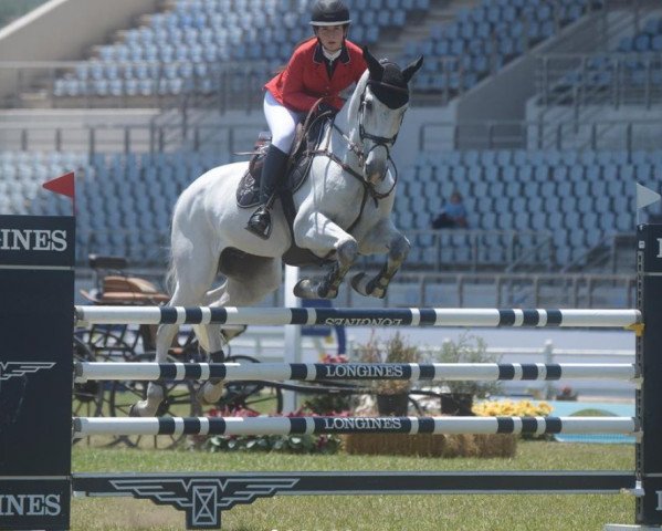 jumper Vico (Hungarian Warmblood, 2007, from Vingino)