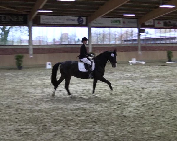 Hallen-Reitturnier Havixbeck-Hohenholte 2016