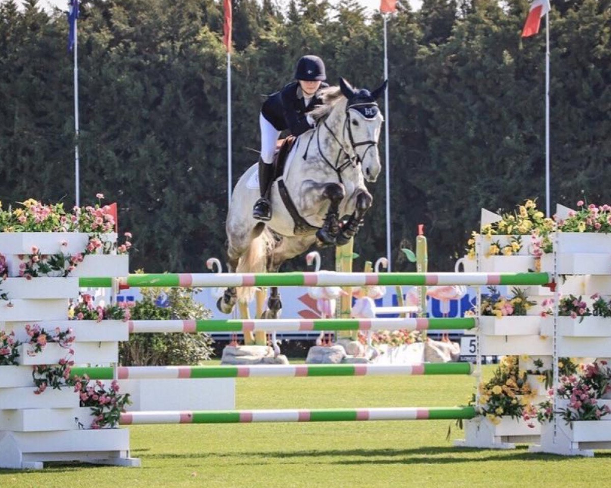 jumper Damn Smooth (anglo european sporthorse, 2008, from Luidam)
