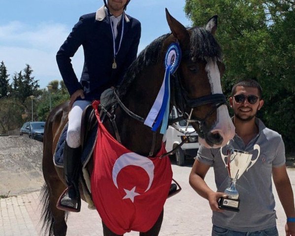 jumper Idon Vera (KWPN (Royal Dutch Sporthorse), 2013)