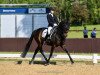 dressage horse Dark Dior (Westphalian, 2010, from Diamond Hit)