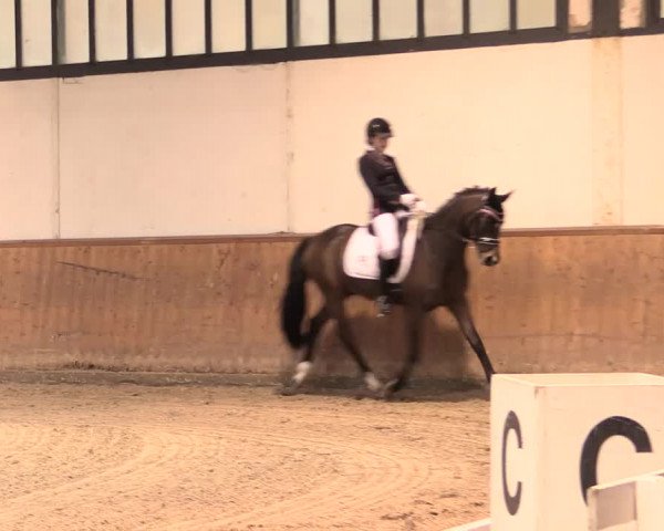 Jugend-Challenge Verden 2016
