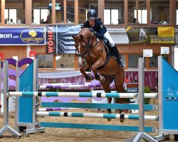 dressage horse Dubai Palace (German Riding Pony, 2008, from Don't Worry Be Happy)