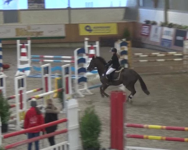 Gut Neuhaus Jugendfestival 2016 - Grevenbroich