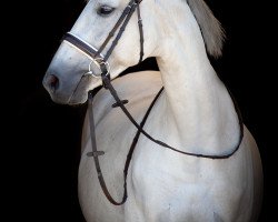 jumper Valentina 72 (Hanoverian, 2007, from Toronto)