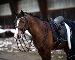 dressage horse Heitholms Minnie Mouse (German Riding Pony, 2012, from Clooney)