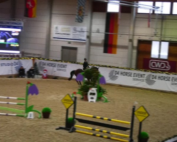 Christmas Jumping Trophy Prussendorf 2021