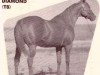 stallion Hy Diamond xx (Thoroughbred, 1946, from Hygro xx)