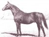 stallion Chimney Sweep xx (Thoroughbred, 1927, from Whisk Broom xx)