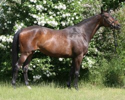 broodmare Tampa Bay xx (Thoroughbred, 2001, from Secret'n Classy xx)