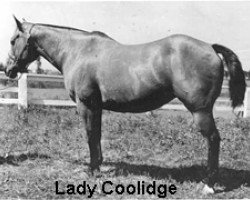 broodmare Lady Coolidge (Quarter Horse, 1928, from Beetch's Yellow Jacket)