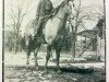 Deckhengst Yellow Boy (Quarter Horse, 1927, von Yellow Jacket)