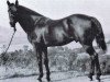 Deckhengst Driftwood (Quarter Horse, 1932, von Miller Boy)