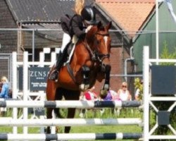 broodmare Altana SAG (Nederlands Rijpaarden en Pony, 1997, from Now or Never)