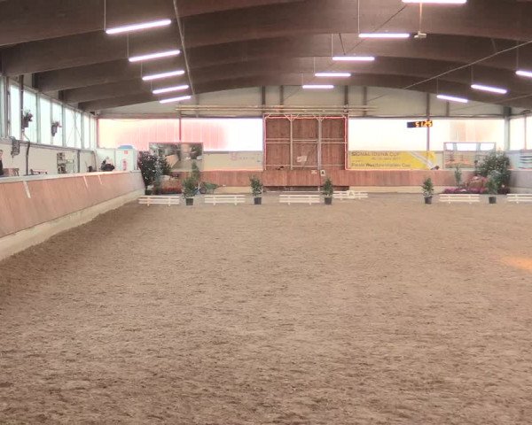 Reitturnier Südlohn-Oeding 2016