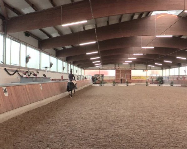 Reitturnier Südlohn-Oeding 2016