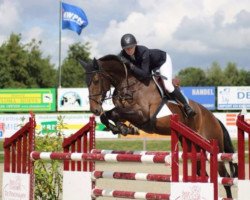 broodmare Fé-Yuna SAG (KWPN (Royal Dutch Sporthorse), 2010, from VDL Emmerton)