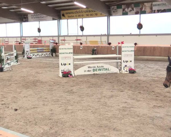 Reitturnier Südlohn-Oeding 2016