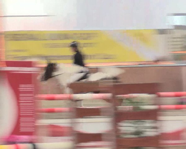 Reitturnier Südlohn-Oeding 2016