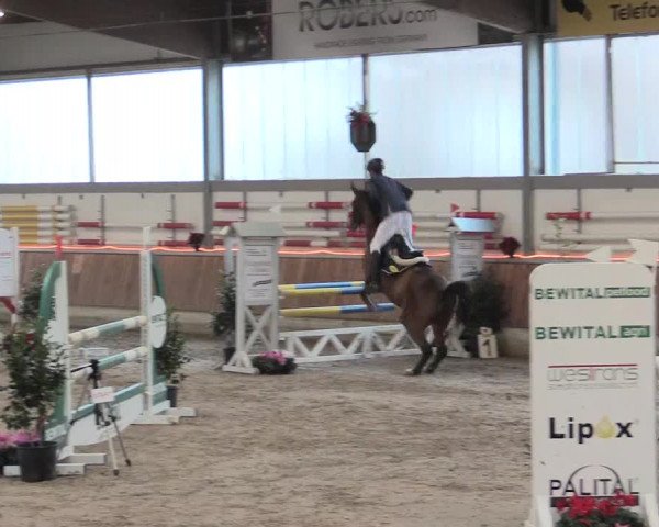 Reitturnier Südlohn-Oeding 2016