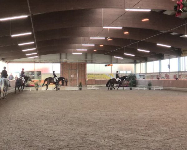 Reitturnier Südlohn-Oeding 2016