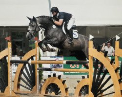 jumper Lucienne 31 (Hanoverian, 2008, from Hh Linton)