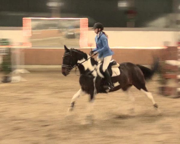 Reitturnier Südlohn-Oeding 2016