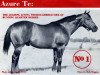 stallion Azure Te xx (Thoroughbred, 1962, from Nashville xx)