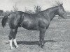 Deckhengst Spot Cash (Quarter Horse, 1950, von Skipper W)