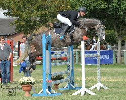 jumper Lasse red'n ZL (German Sport Horse, 2010, from Laspari)