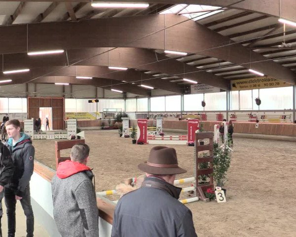 Reitturnier Südlohn-Oeding 2016