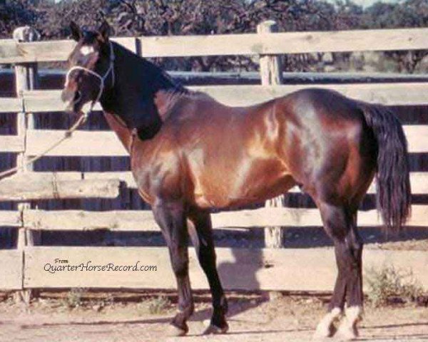 stallion Scooter S (Quarter Horse, 1943, from Silver King)