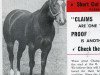 stallion Shortcut (Quarter Horse, 1948, from Scooter S)