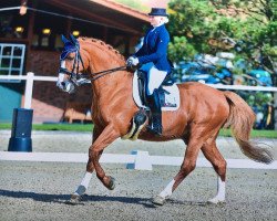 dressage horse Rammazzotti (Bavarian, 2000, from Ramiro M)