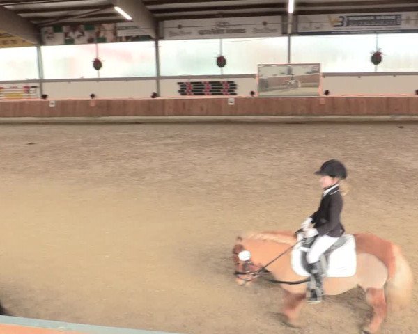 Reitturnier Südlohn-Oeding 2016