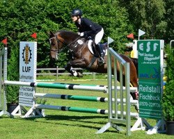 Springpferd Crown Leandra (Deutsches Reitpony, 1999, von Hattrick)