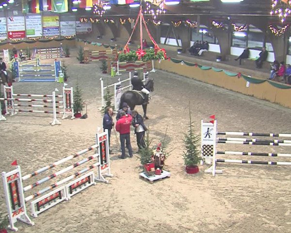 Reitturnier Leck 2016