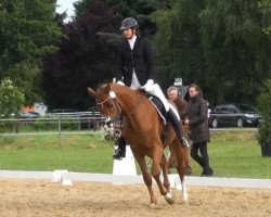 dressage horse Fabienne 502 (Hanoverian, 2010, from Fürst Nymphenburg)