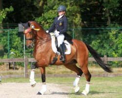 dressage horse Anouargrant Sag (KWPN (Royal Dutch Sporthorse), 2005, from Flemmingh)